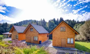 Bieszczady: Nocleg idealny? Domki, SPA, agroturystyka wybierz mądrze!