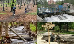 Dąbrowa Górnicza: Odkryj zielone serce Zagłębia atrakcje na weekend!