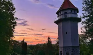 Ryn: Gdzie zjeść? Od świeżych ryb po pizzę z widokiem na Mazury!