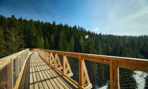 Drewniana kładka w koronach drzew, z widokiem na las. Idealne miejsce na spacer, sprawdź **Brama Gorce cennik**!