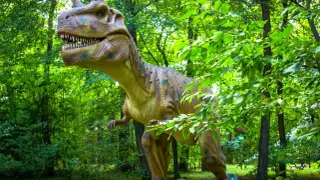 Witaj w parku ruchomych dinozaurów! Gigantyczny, realistyczny model tyranozaura czeka na Ciebie wśród bujnej zieleni.