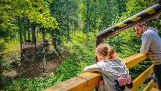 Rodzina obserwuje żubry w lesie, wspaniały park rozrywki dla dzieci podkarpackie.