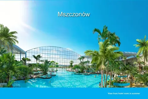 Tropikalny raj w Mszczonowie, prawdziwy **Disneyland w Polsce** z basenami i palmami pod szklanym dachem.