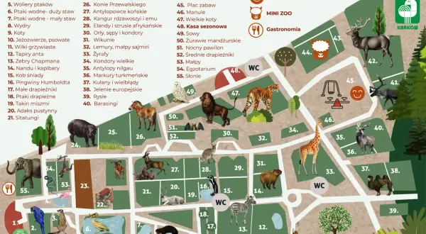 Kraków atrakcje dla dzieci: Jak zaplanować idealny rodzinny wyjazd?