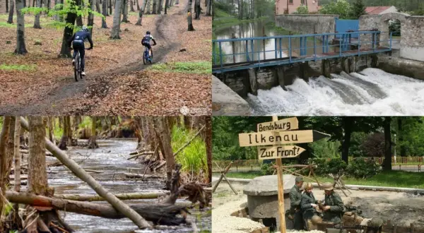 Dąbrowa Górnicza: Odkryj zielone serce Zagłębia atrakcje na weekend!