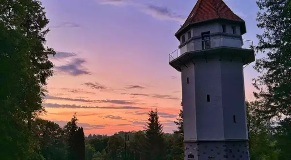 Ryn: Gdzie zjeść? Od świeżych ryb po pizzę z widokiem na Mazury!