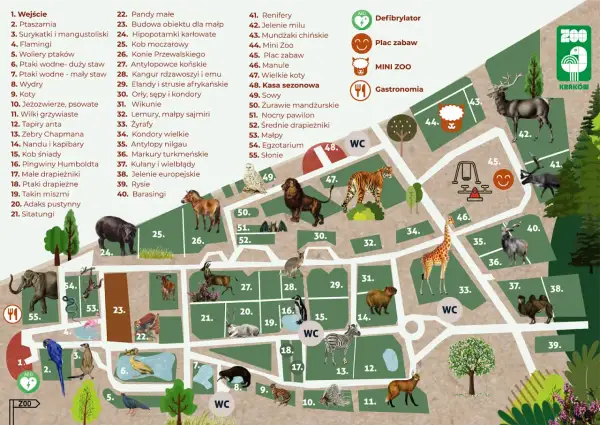 Kraków atrakcje dla dzieci: Jak zaplanować idealny rodzinny wyjazd?
